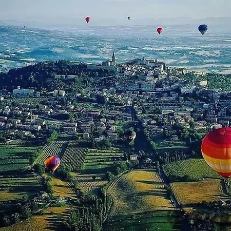 La Volpe Bianca